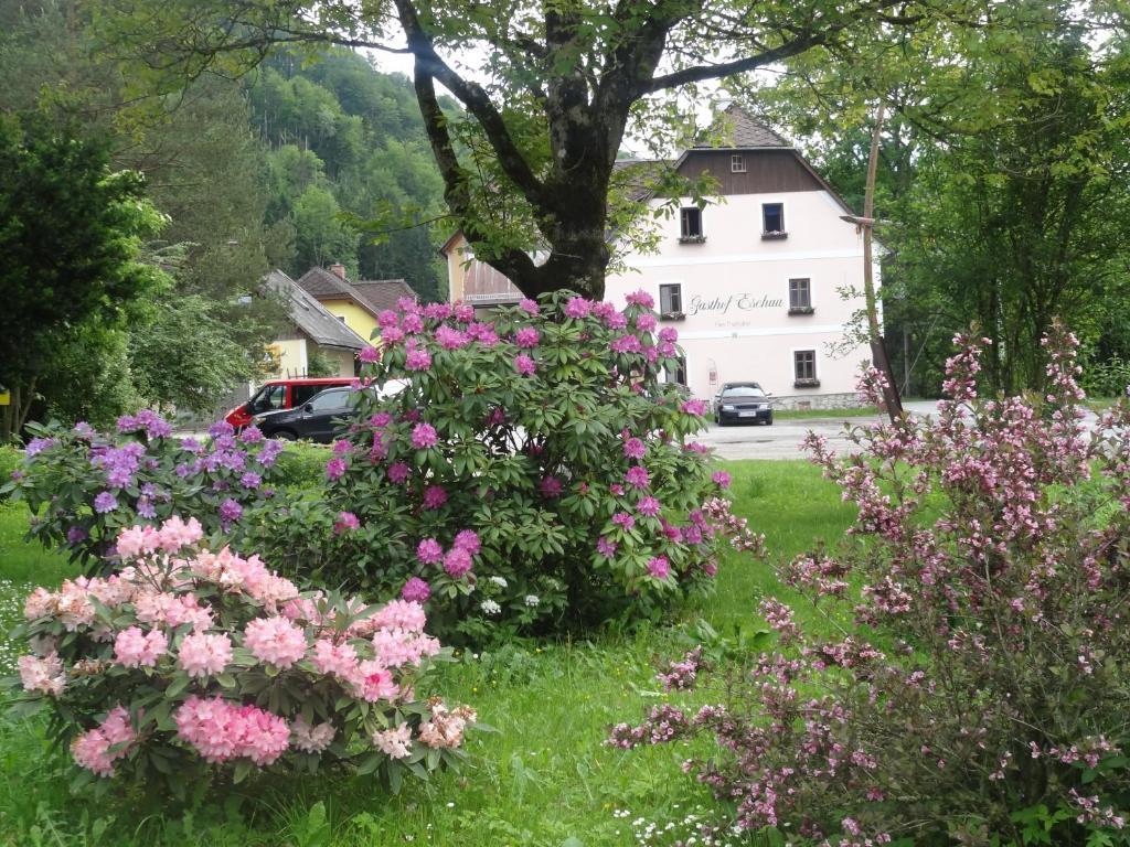 Gasthof Eschau بالفو المظهر الخارجي الصورة